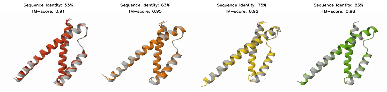 Chorismate mutase structures generated by PoET superimposed on E. coli structure